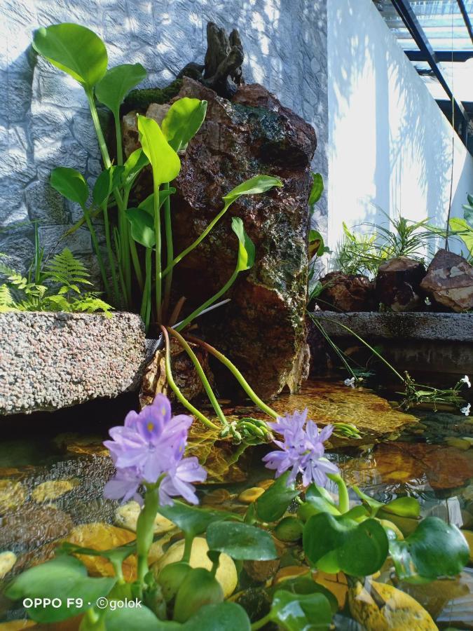 Tebing Guest House Taman Negara Malaysia קואלה טהאן מראה חיצוני תמונה